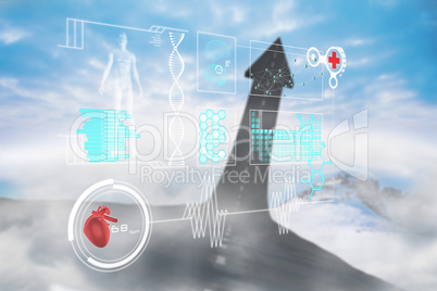 Composite image of medical interface