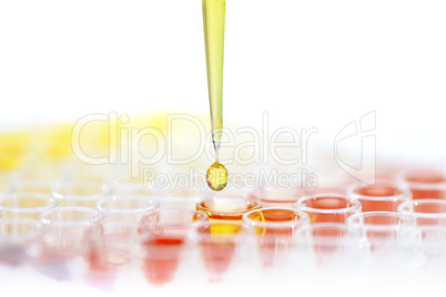 Pipette with drop of liquid over test tubes