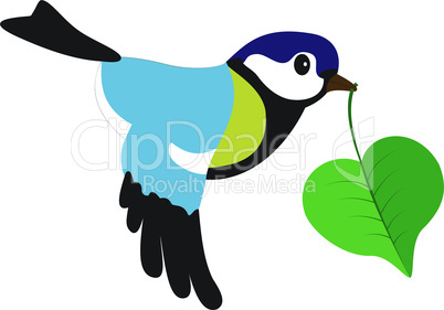 Bird with a leaf