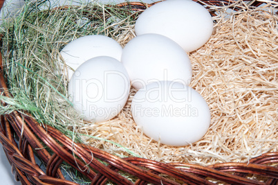 Easter egg in basket.