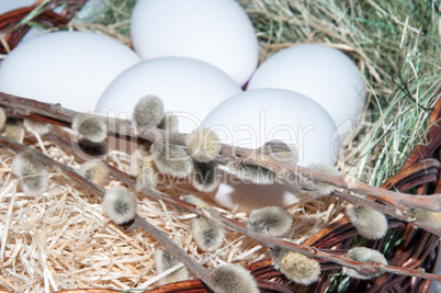 Easter egg in basket.