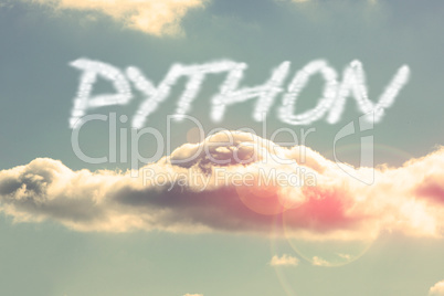 Python against bright blue sky with cloud