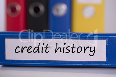 Credit history on blue business binder