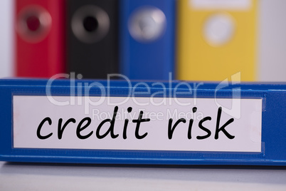 Credit risk on blue business binder