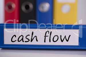 Cash flow on blue business binder