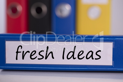 Fresh ideas on blue business binder