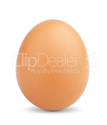 chicken egg