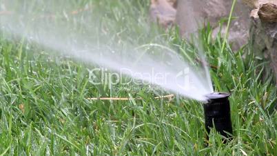 Garden Irrigation Spray