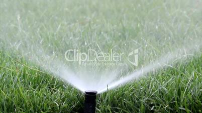 Garden Irrigation Spray
