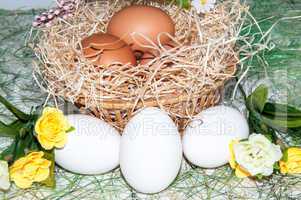 Fresh eggs for the feast of Easter..