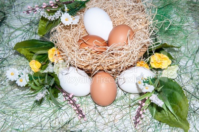 Fresh eggs for the feast of Easter..