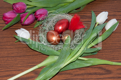 Easter egg and Tulips.