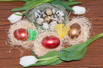 Easter egg and Tulips.