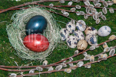 A pussy-Willow sprig and Easter egg