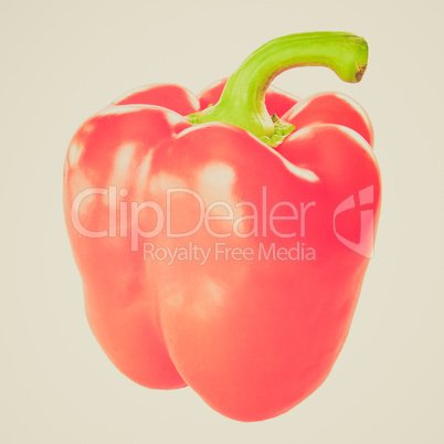 Retro look Pepper isolated