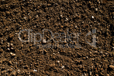 humus soil