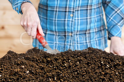woman works with trowel their humus soil
