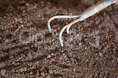 rake on humus soil