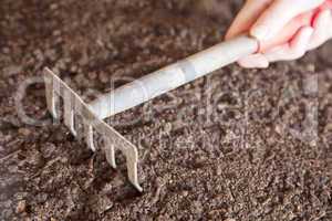 rake on humus soil