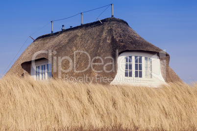 Reetdachhaus in Hörnum auf der Insel Sylt, Schleswig-Holstein,D