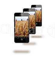 mobile phones with images os fields of wheat
