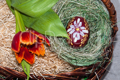 Tulip and Easter egg