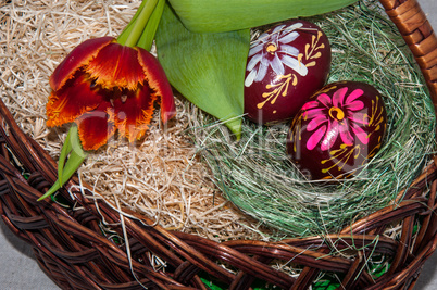 Tulip and Easter egg