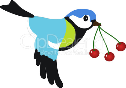 Bird with berries