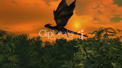dragon flies over bamboo forest on sunset background