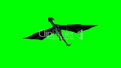 dragon in flight - green screen