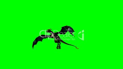 flying dragon wyvern - green screen