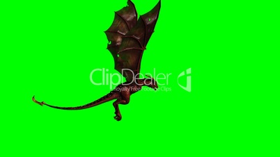 flying dragon wyvern - green screen