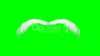 animated angel wings - green screen