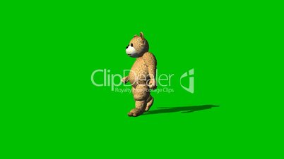 cartoon bear goes backwards - green screen