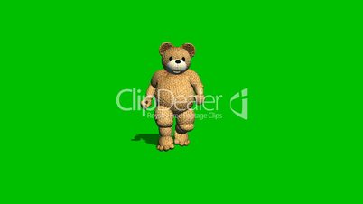 cartoon bear runs backwards - green screen