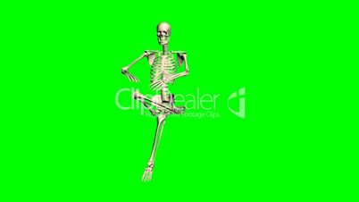 skeleton - various poses - green screen