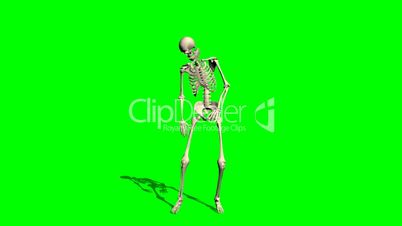 skeleton goes crippled forward - green screen