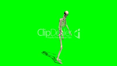 skeleton goes crippled forward - green screen