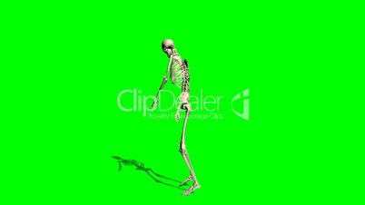 skeleton goes crippled forward - green screen