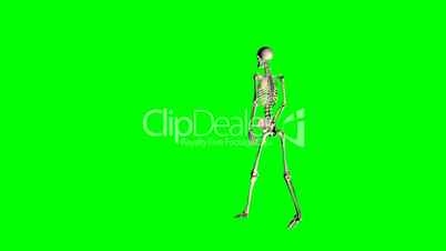 skeleton walks - green screen effect