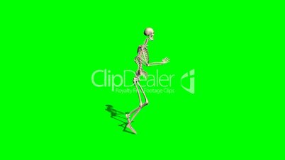 skeleton runs - green screen effect