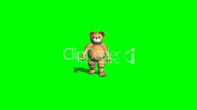 teddy bear goes - green screen