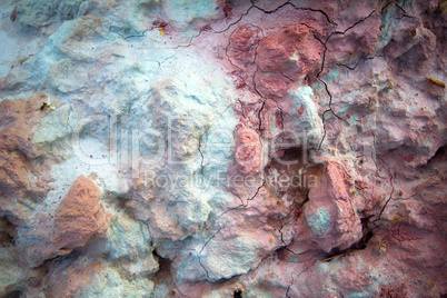 cambrian clay