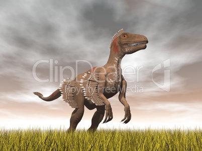 velociraptor dinosaur - 3d render
