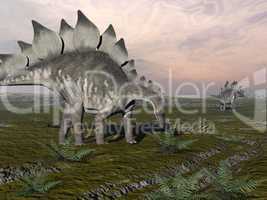 hungry stegosaurus - 3d render