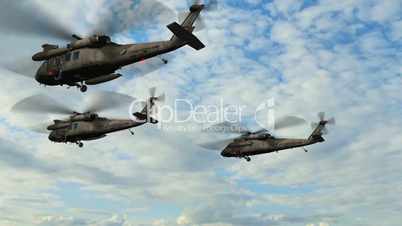 Black Hawk Helicopter Group fly over