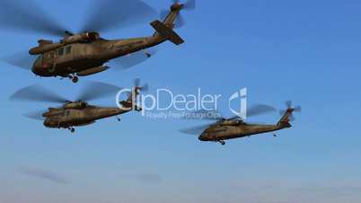 Black Hawk Helicopter Group fly over