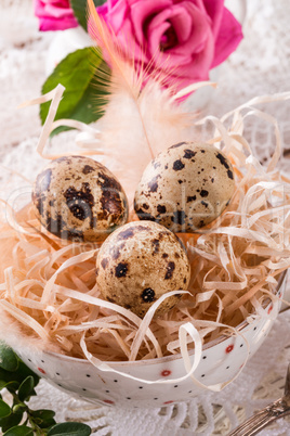 quail's eggs