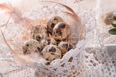 quail's eggs