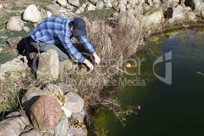 cutting back on the pond